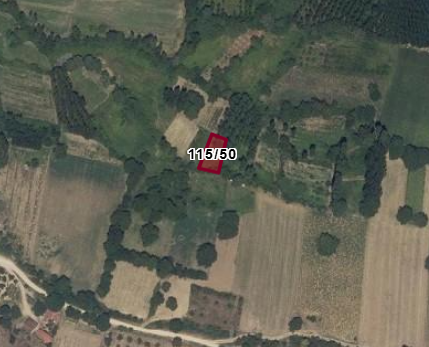 BURSA İNEGÖL KOZLUCA  MAHALLESİNDE 400M² TARLA SATILIKTIR - BURSA İNEGÖL fotoğraf 3